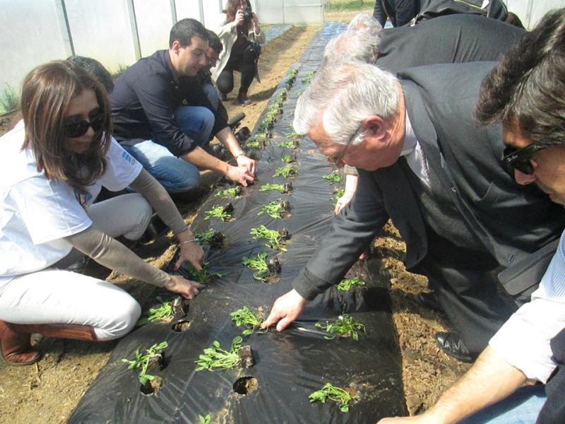 Cáritas Diocesana de Beja