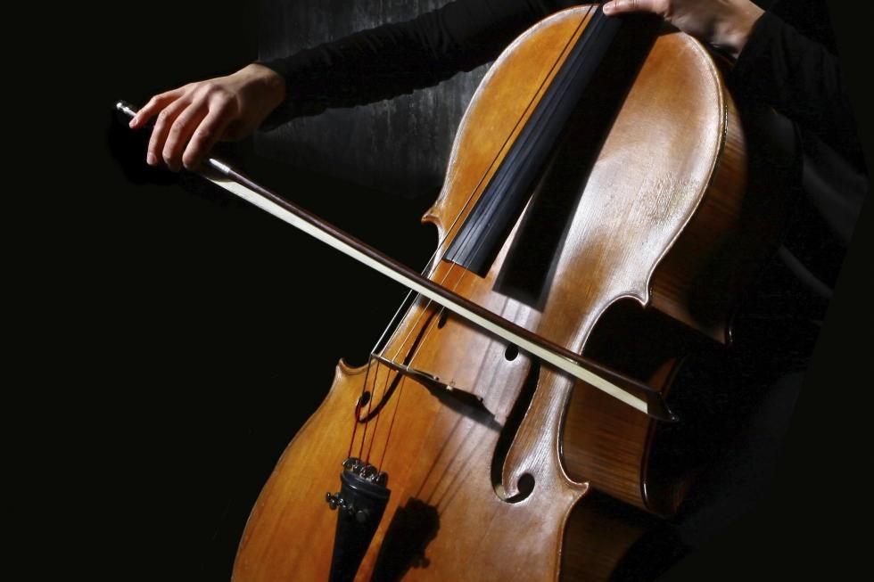 Violoncelo - DR