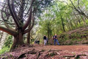 Turismo da Madeira