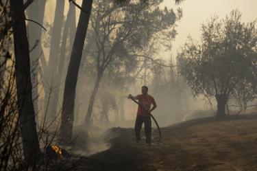 Foto Arquivo Lusa, Incêndios em Cantanhede 2017