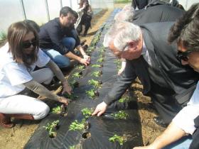 Cáritas Diocesana de Beja