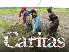 Cáritas