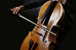 Violoncelo - DR