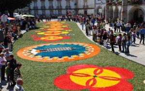O Caminhense / Susana Martins