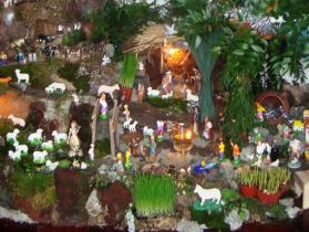 (cp-saoroquedofaial.blogspot.com)