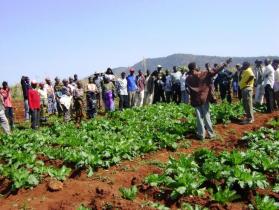(adpp-mozambique.org)