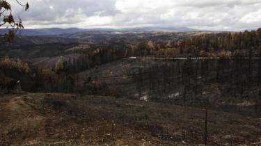 Zona afetada pelo incêndio que deflagrou a 17 de junho (imagem de arquivo). Foto: Lusa