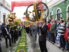 Foto: Folha do Domingo