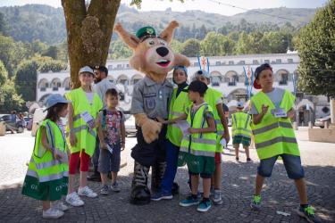 Irmandade de São Bento da Porta Aberta