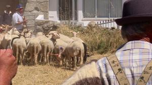 Fernão Joanes, Guarda