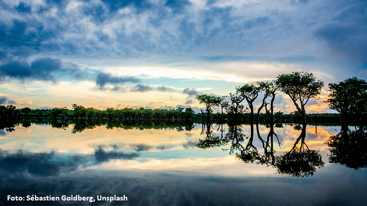 Cuidar da Casa Comum COP-30